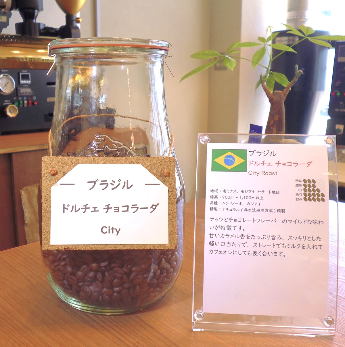 ブラジル ドルチェ チョコラーダ シティ