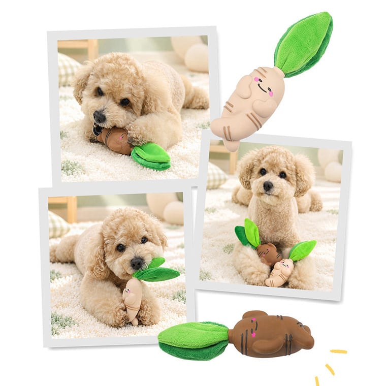 A+ginseng latex toy 2color /  ペット 犬 おもちゃ 噛む 音が鳴る 知育玩具 鳴き笛入り 可愛い わんちゃん おもちゃ ラテックス トイ ストレス解消 韓国 ペット用品
