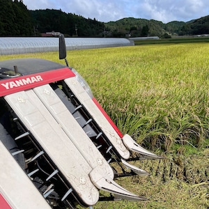 2023年産 3kg｜福岡県小石原産