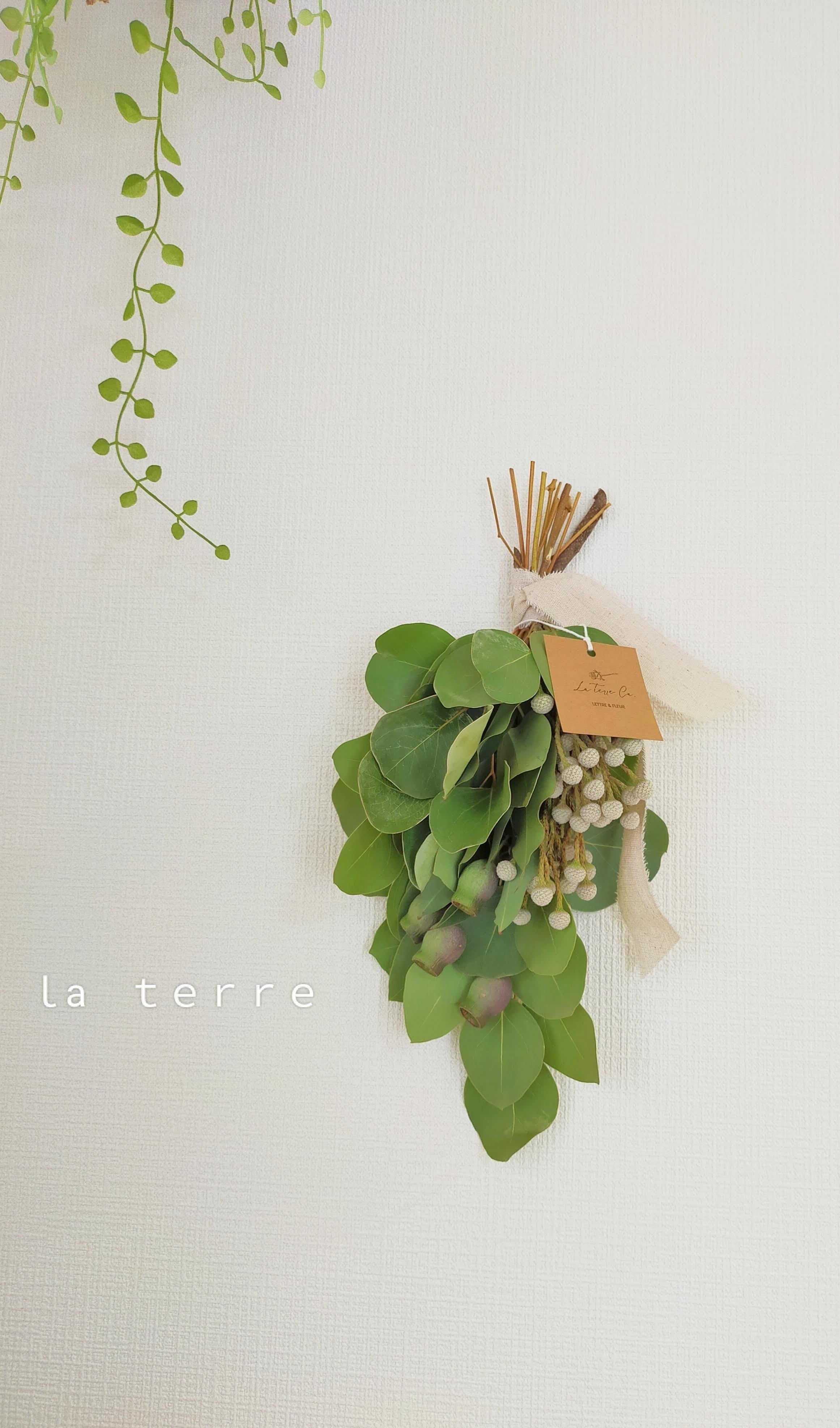 Spring 春 ベルガムナッツとユーカリのスワッグ 39cm | La terre