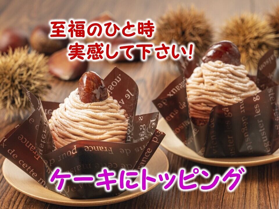 冷凍むき栗 750g（フリーザーパック250g×3個） | すみれファーム