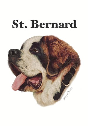 gray original Dog face &breed printed S/S TEE［St. Bernard］