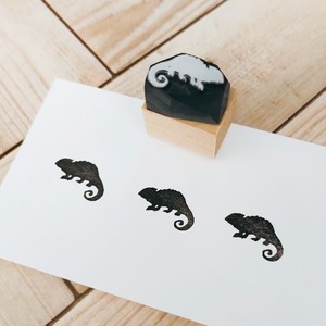 カメレオン 黒猫堂