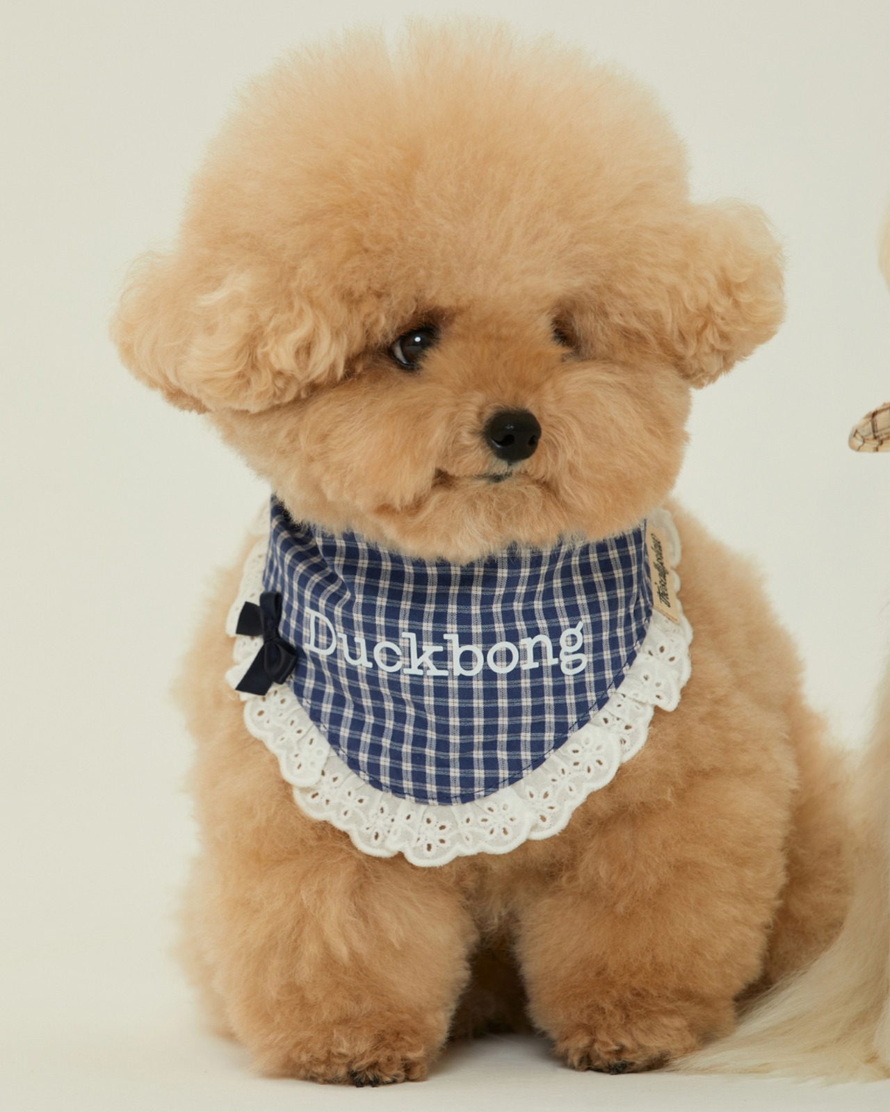【予約】[ thesallyslaw ] Maybel Naming Bandana｜Blue Scone - 3