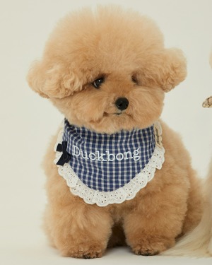 【予約】[ thesallyslaw ] Maybel Naming Bandana｜Blue Scone