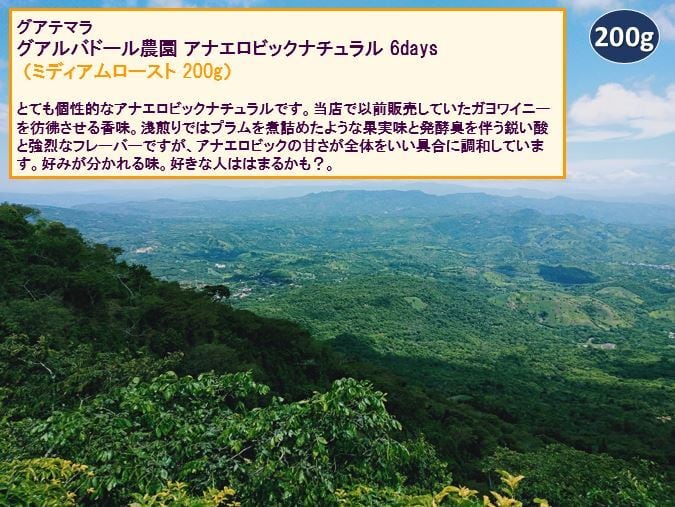 グァテマラ グアルバドール農園 アナエロビックナチュラル6days(ミディアムロースト 200g)