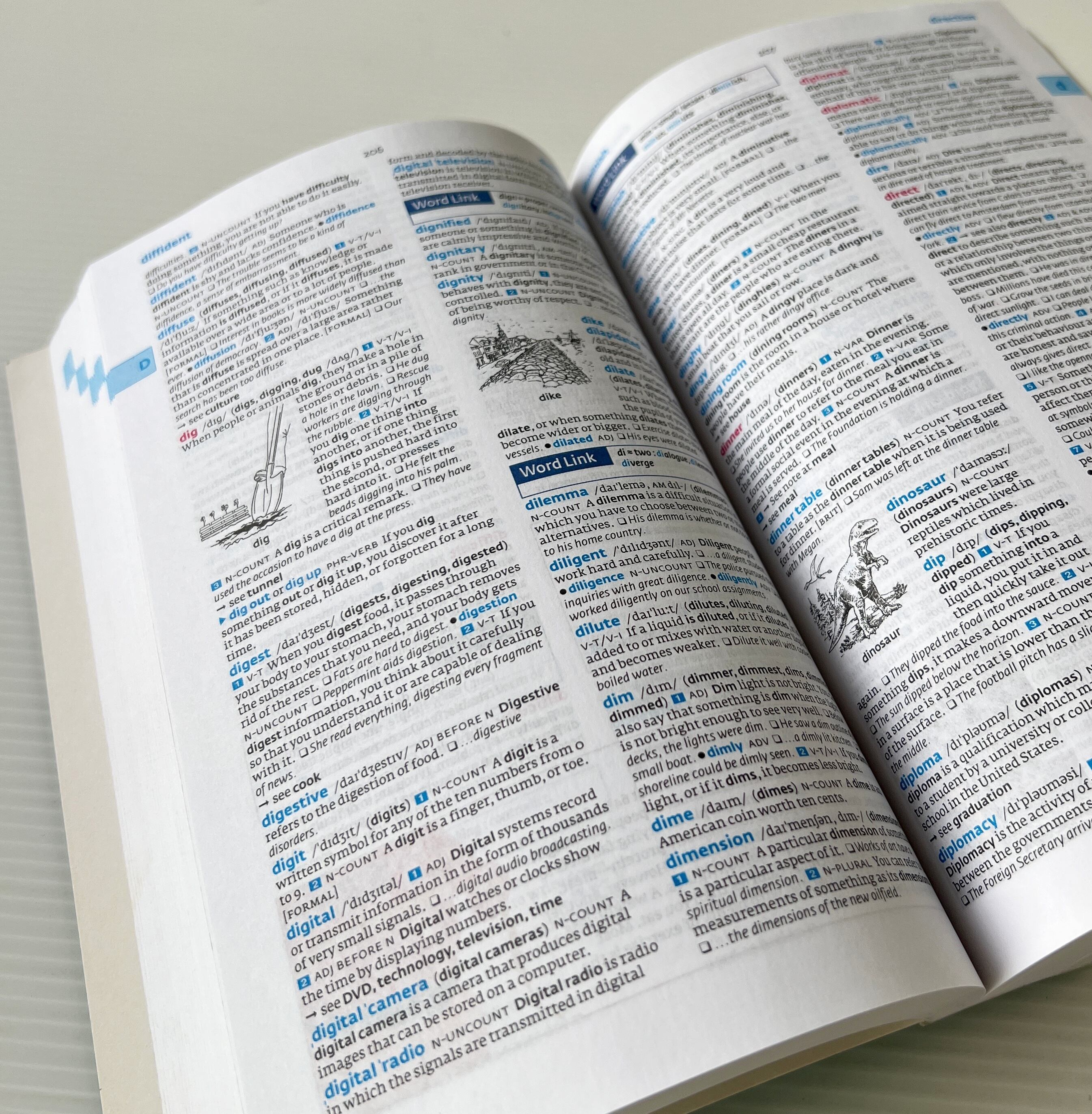 Cobuild Intermediate Learner's Dictionary 3rd edition / HarperCollins