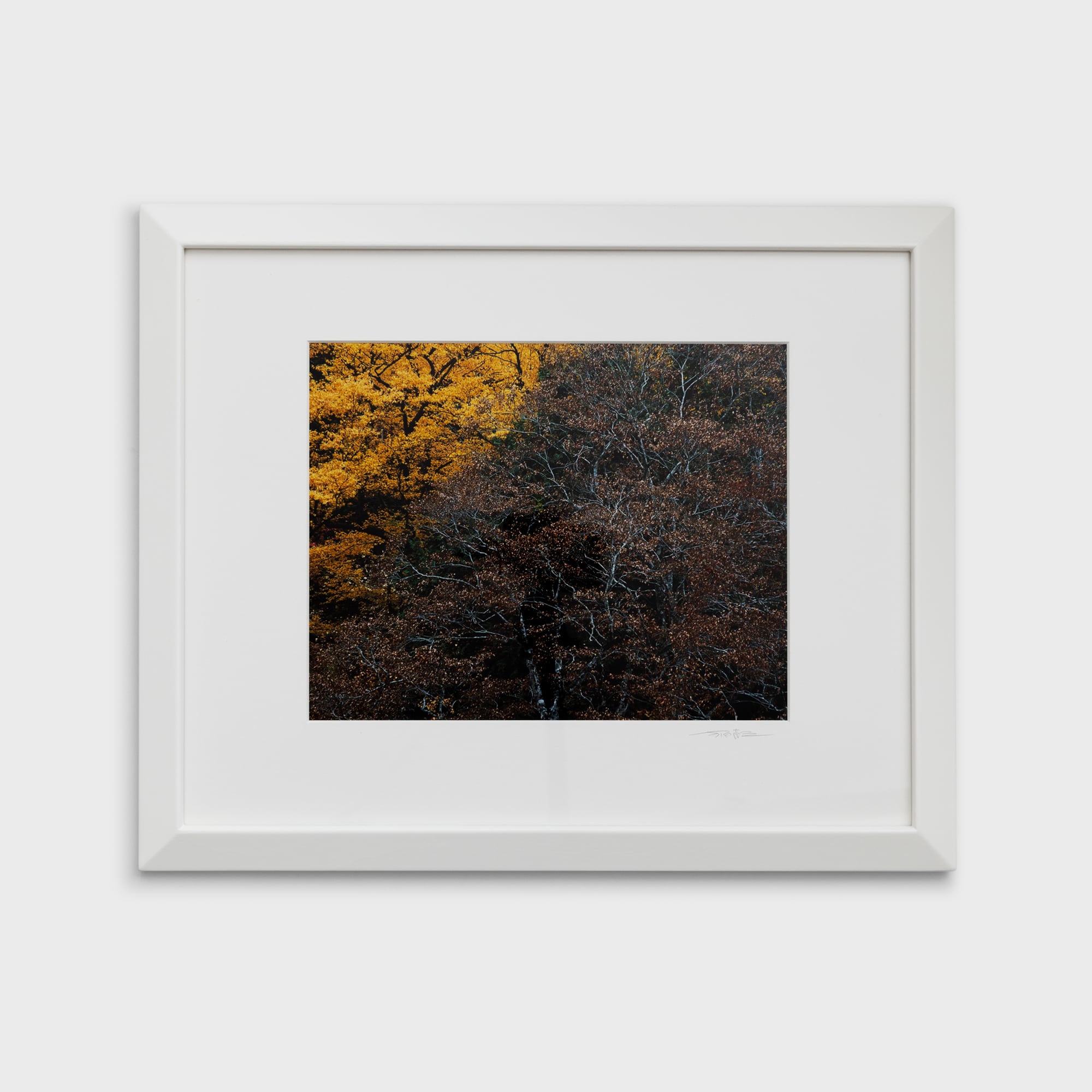 前田真三額装写真「絵模様」白木額〈展示品／直筆サイン入〉 | 拓真館