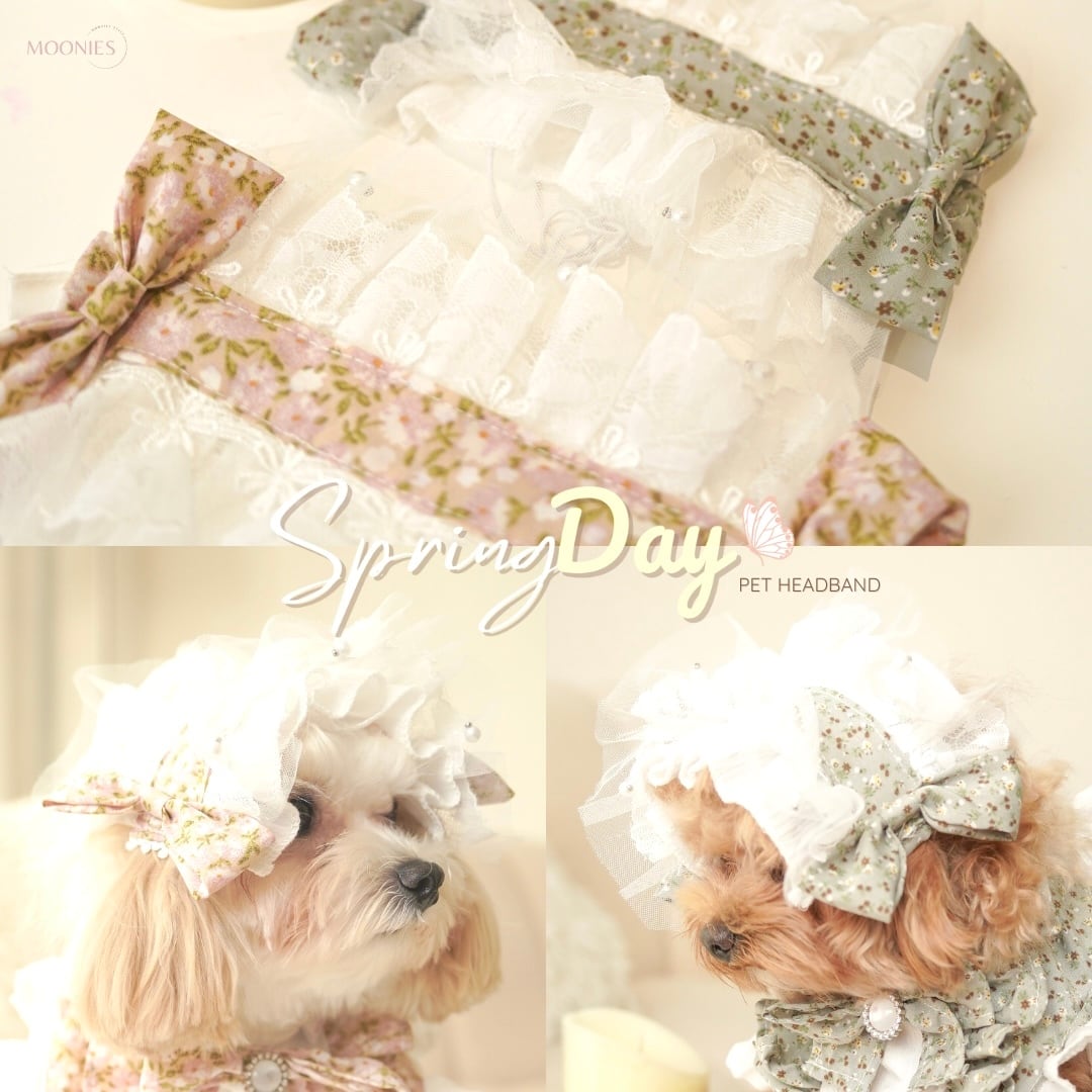 Spring Day – Pet Head Band