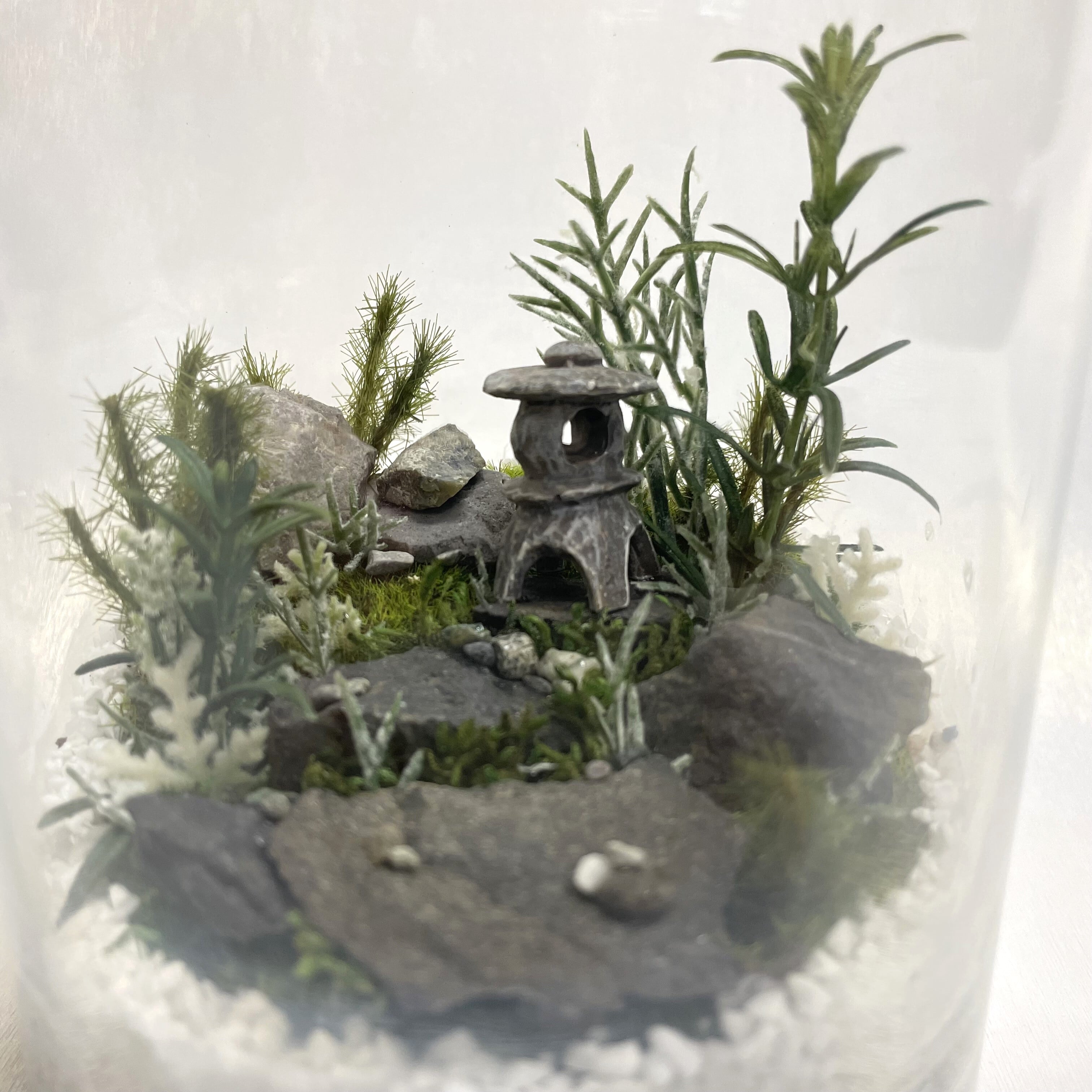 ≪送料無料≫ アート苔テラリウム #001 | nemurihana ～ flower art