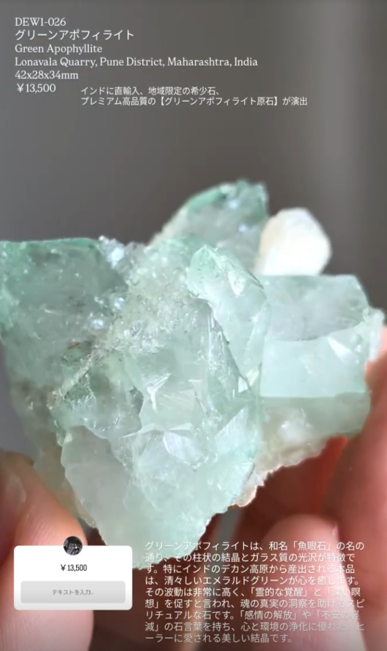 ⭔ お客様専用ページ ⭔ hbb_808様　