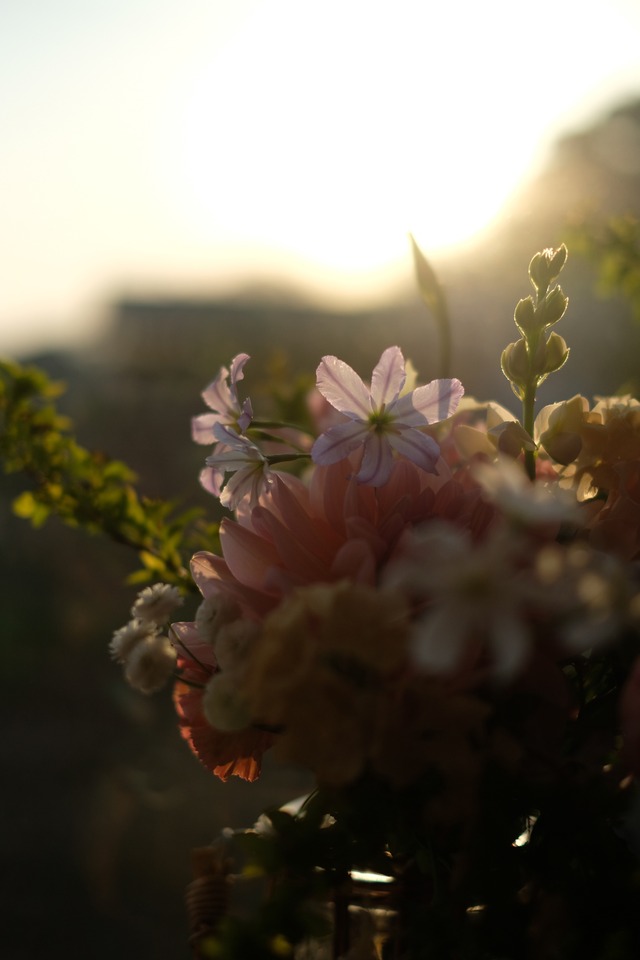 【店舗受取り】Mother's day! Arrangement_M