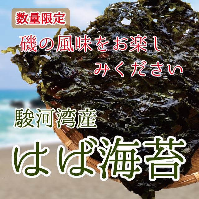 板海苔 乾海苔 黒海苔  愛知県産 全型10枚入り