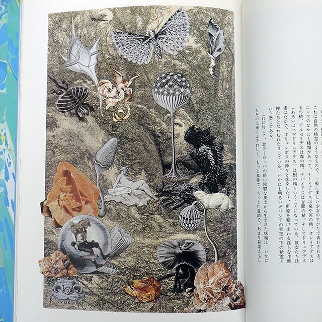 妖精たちの森 野中ユリ画集 / 文・澁澤龍彦 | タイムカプセル 妖精たちの森 野中ユリ画集 / 文・澁澤龍彦 | タイムカプセル