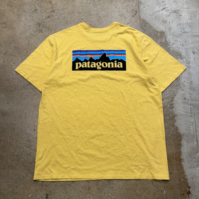 PATAGONIA RESPONSIBILI  TEE SUYE L 2020