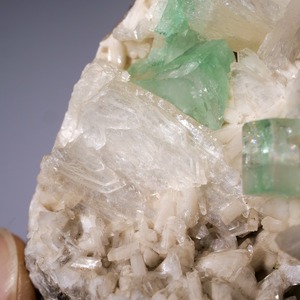 グリーン アポフィライト / 原石 標本