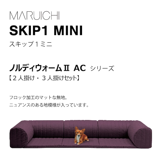 SKIP1 MINI（ノルディウォームⅡAC）セット