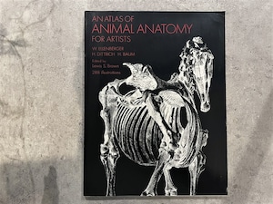 【VP008】An Atlas of Animal Anatomy for Artists /visual book
