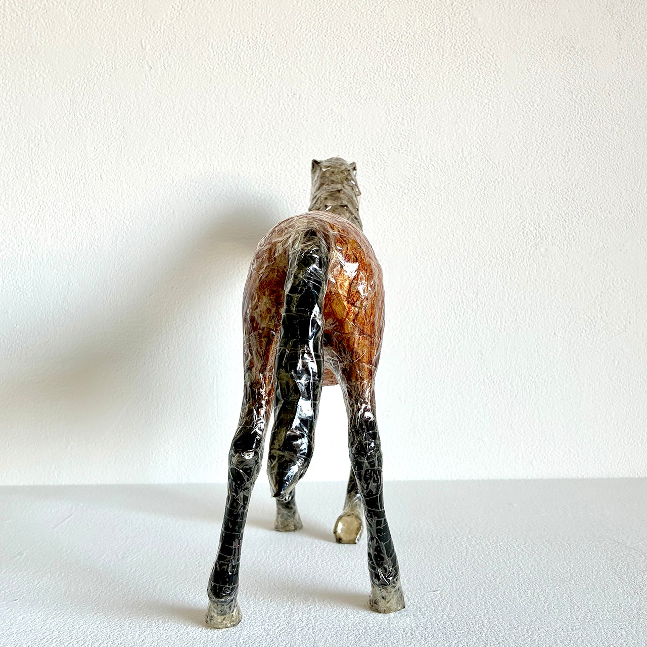 植田 楽さん／#43 ベルジャン