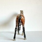 植田 楽さん／#43 ベルジャン