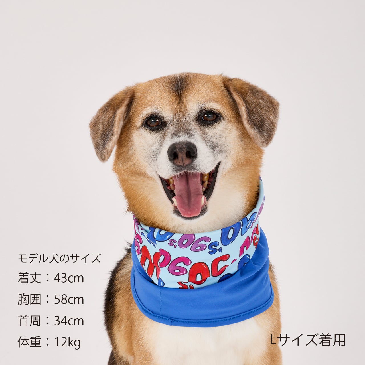 REVERSIBLE SNOOD（XL）リバーシブルスヌード | MANDARINE BROTHERS