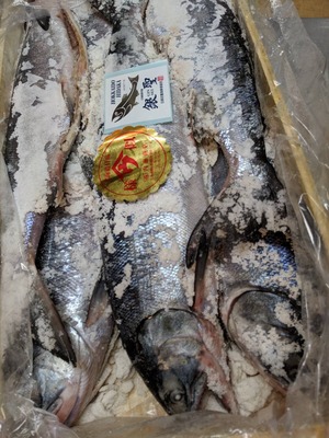 銀聖 生新巻鮭 北海道日高産 希少 ブランド鮭 約3kg