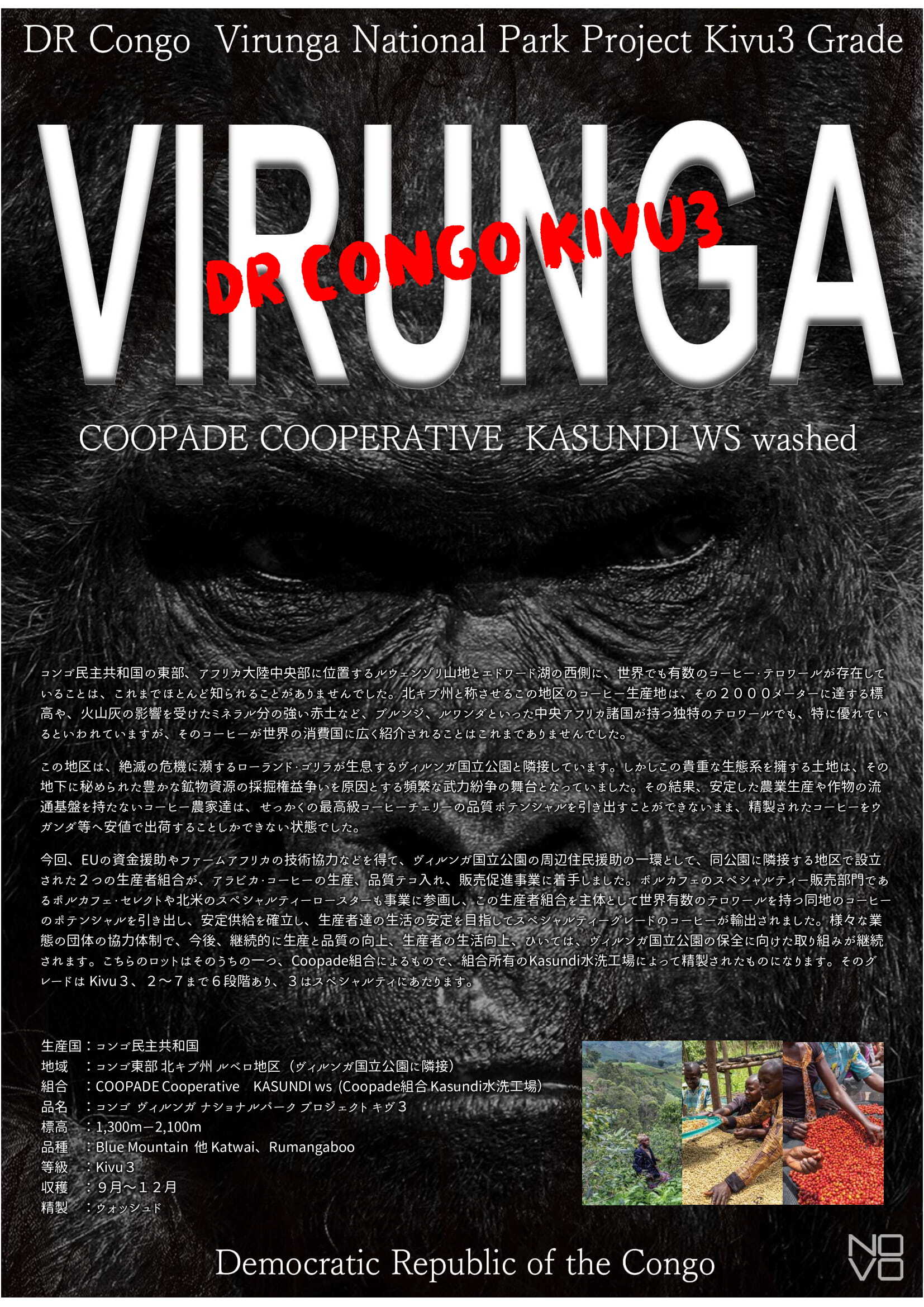 ヴィルンガ ナショナルパークプロジェクト キヴ3 100g ウォッシュド Hayashi Coffee Roastery ヴィルンガ ナショナルパークプロジェクト キヴ3 100g ウォッシュド Hayashi Coffee Roastery