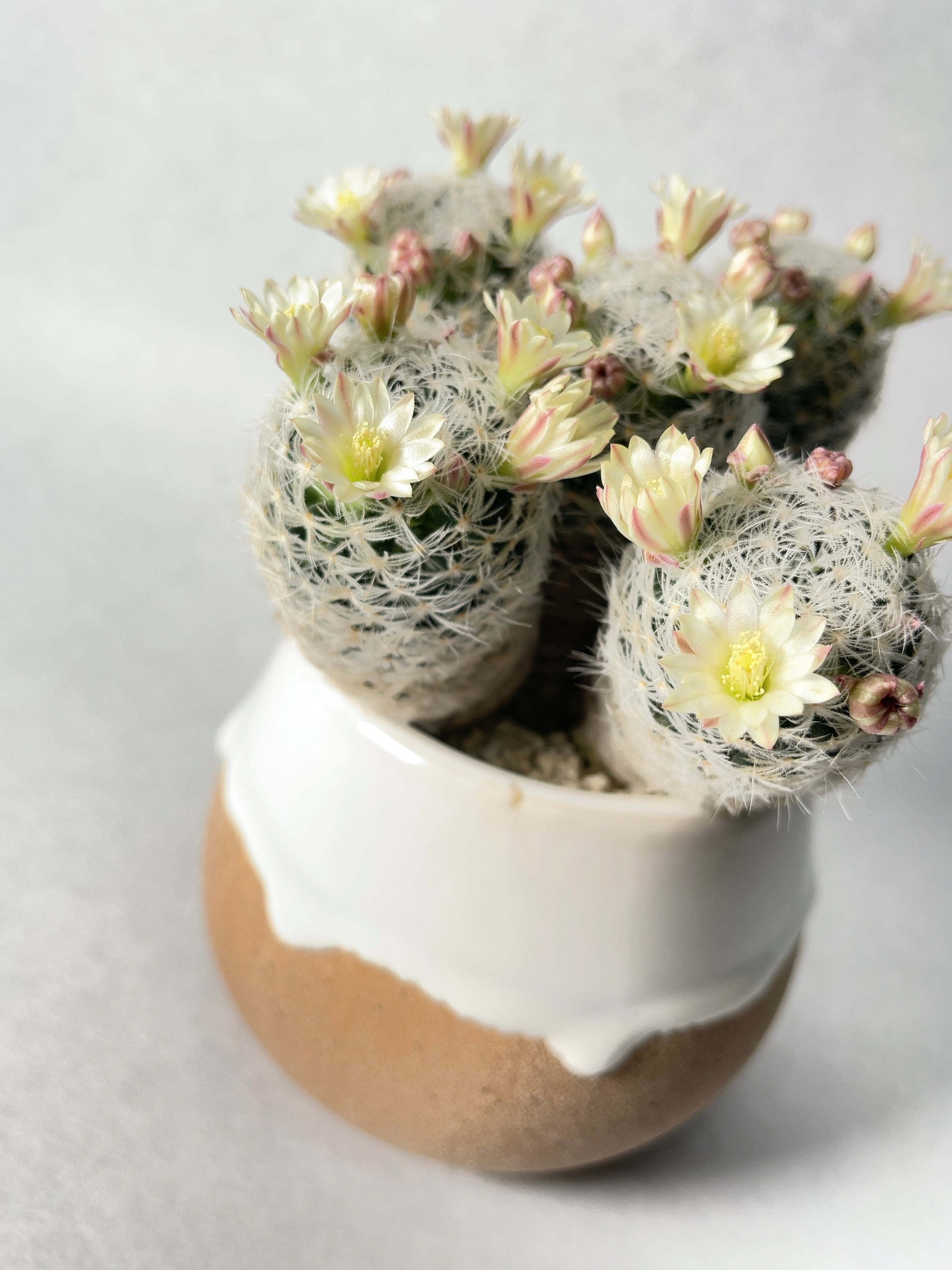 b13b4d62838f604a9a293f3ee3bbf6