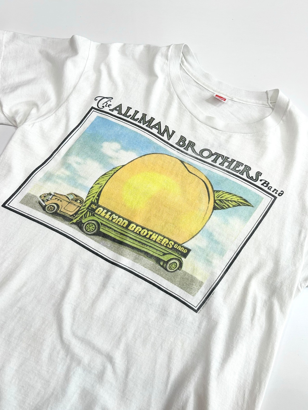 80s ALLMAN BROTHERS "Twentieth Anniversary TOUR" Tee MADE IN USA Size L