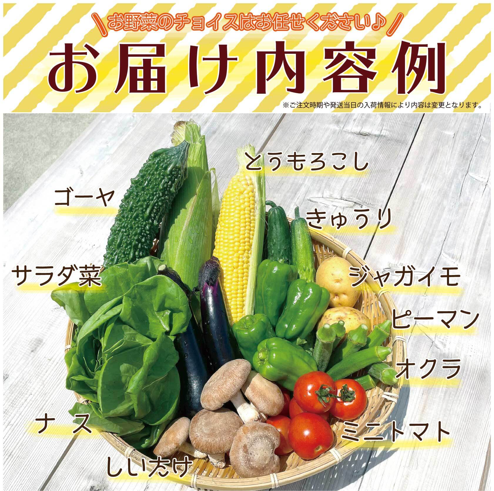 とれたて新鮮!野菜BOX(送料無料)オリジナル!とっちー段ボールに