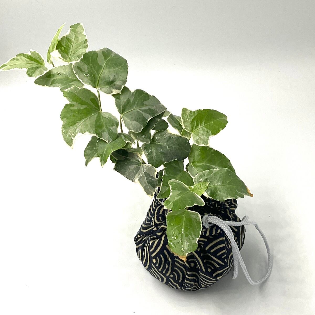 吊り下げ花器、イタリー製、 吊り下げ飾り蔦衣 | hanacup