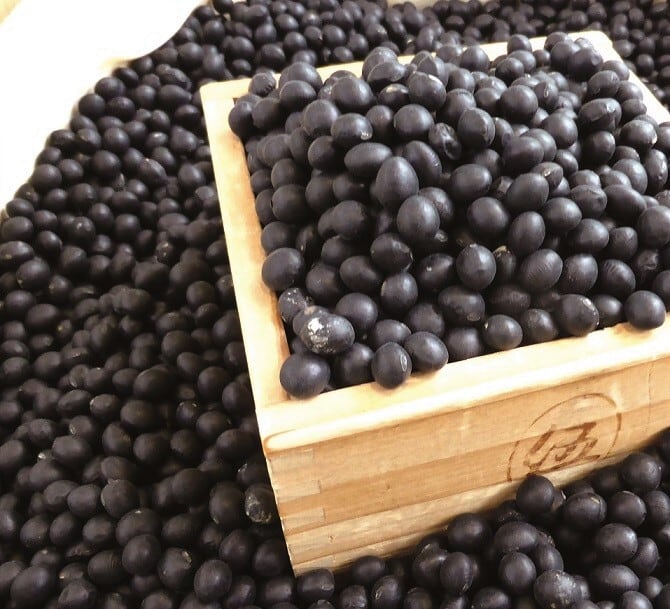 新物】令和7年産北海道十勝産 小豆 1kg | TOKACHI HILLS. shop