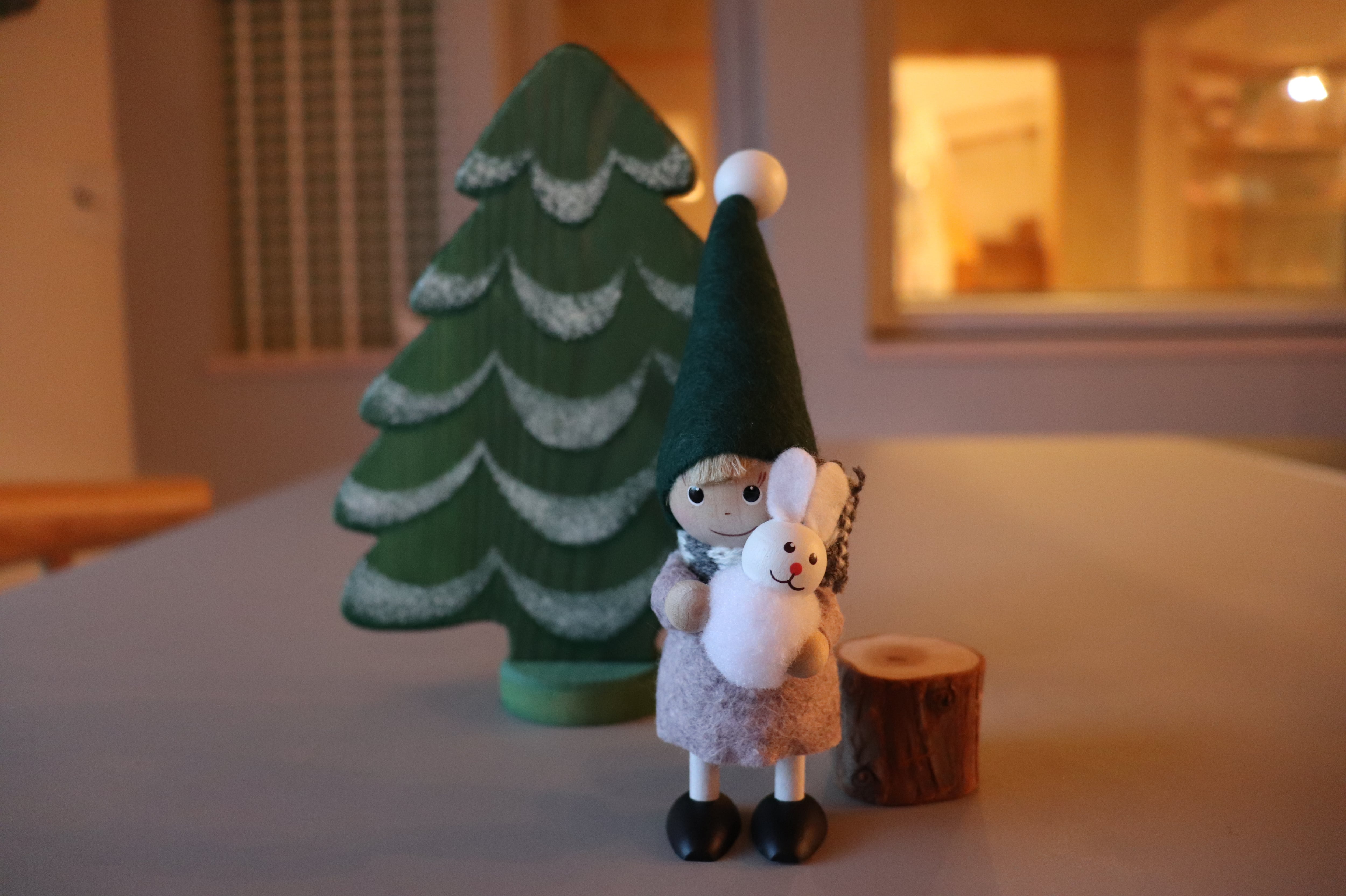 ウサギを抱えた男の子/Nordic forest