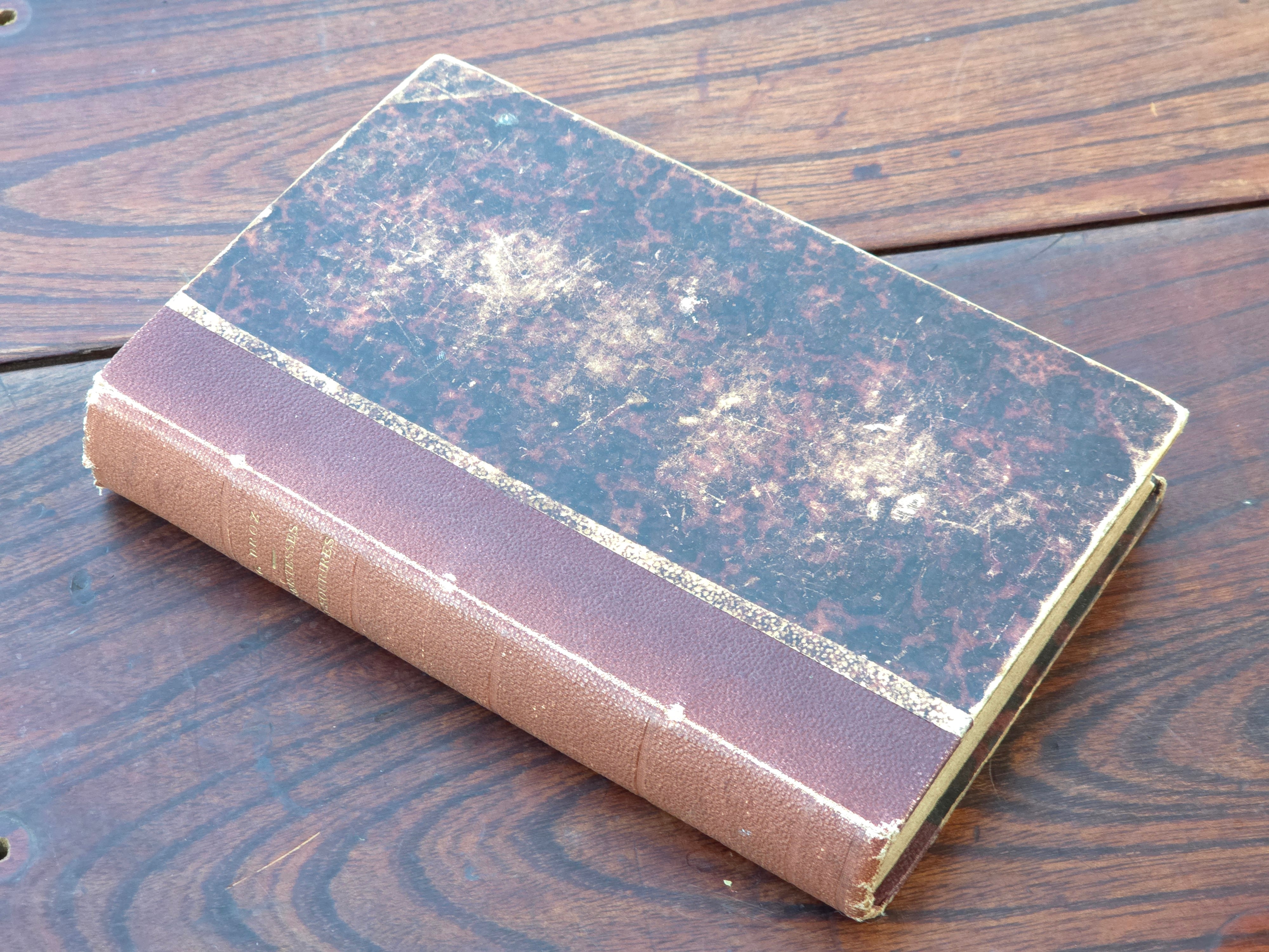 【Antique】フランス 1884年 書籍 "悲しみと微笑み" /d028