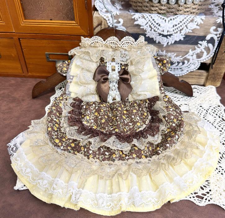 《予約》3102458 ブラウンドレス