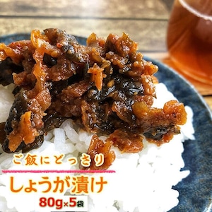 山形県産 山形の漬物 どっさりしょうがみそ漬け ８０g×５袋 送料無料