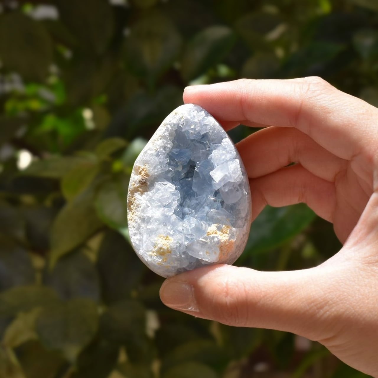 セレスタイト エッグシェイプ マダガスカル産 CTG04 | EBIA Crystal