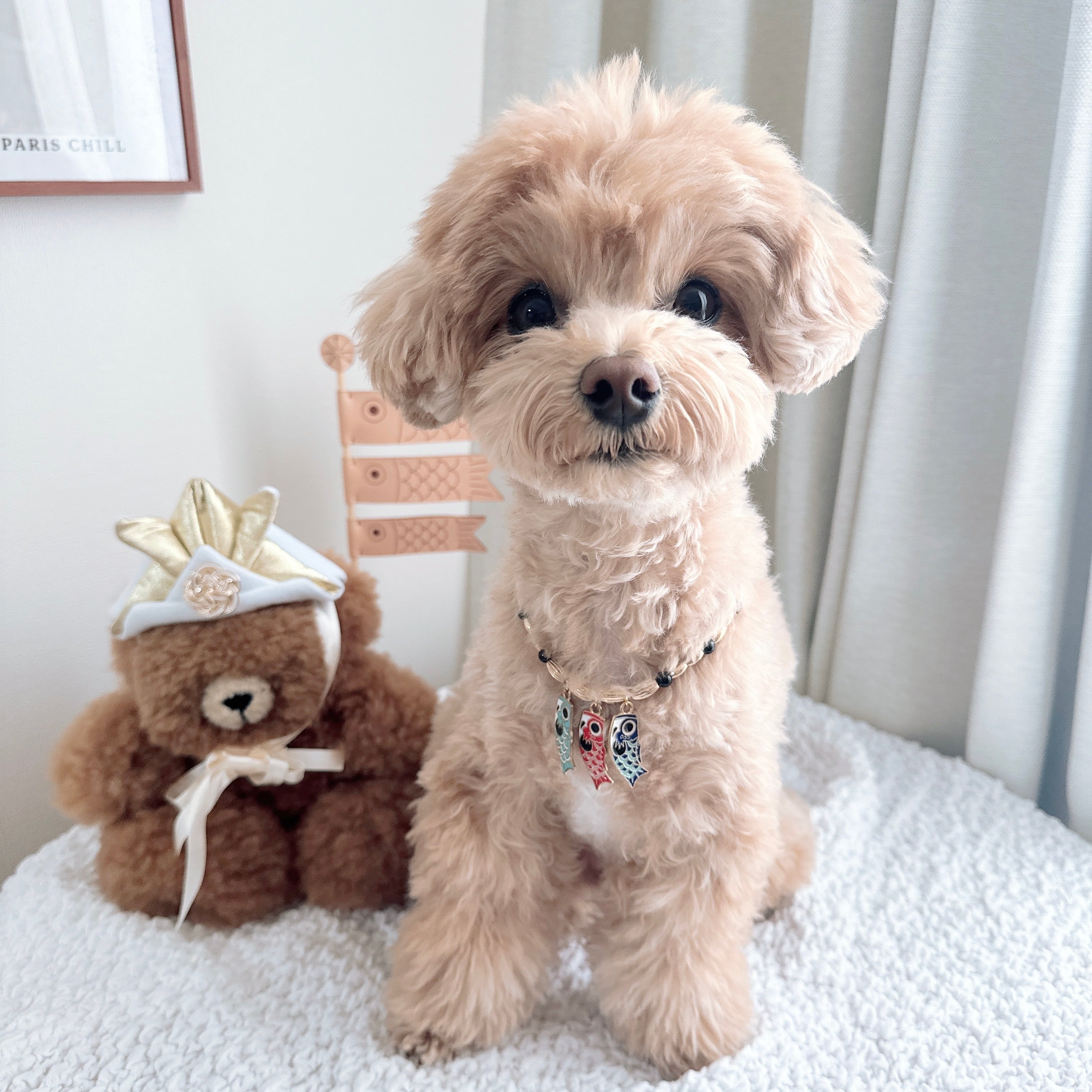 鯉のぼりネックレス