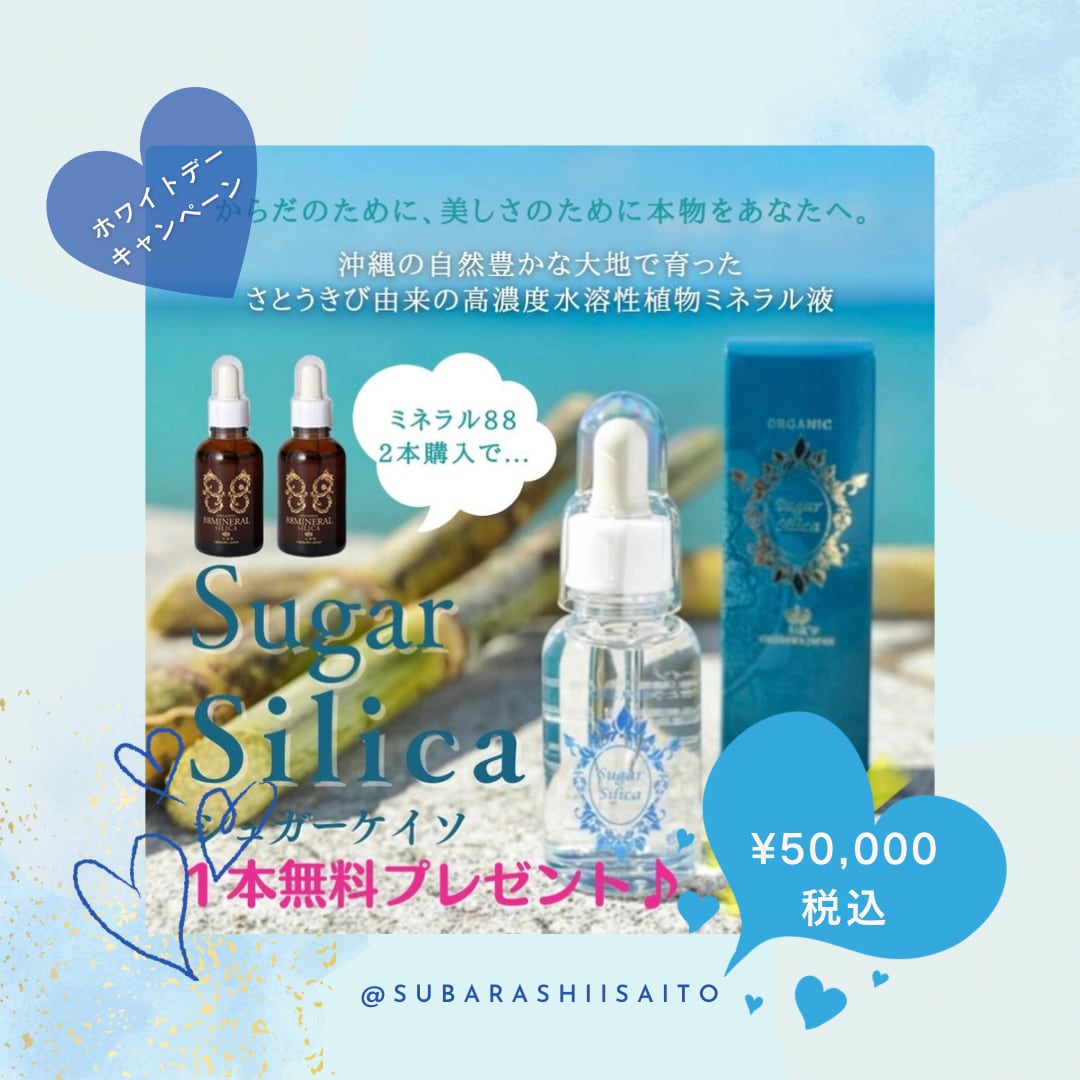 3/22迄【ホワイトデーキャンペーン】88ミネラル シリカ(50mL)2本+シュガーケイソ1本無料プレゼント