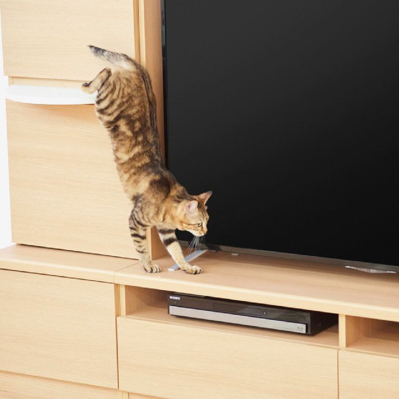 ニャコモ 追加ステップ NCM-T40 NA / IV