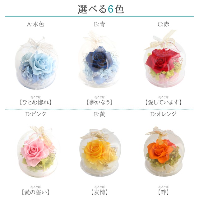 【選べる６色+限定＆ピック】手のひらから贈る薔薇の果実。に選べる花色とピックの組み合わせ !【パルマ PALMA】