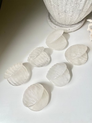 Crystal Shell / 水晶　貝