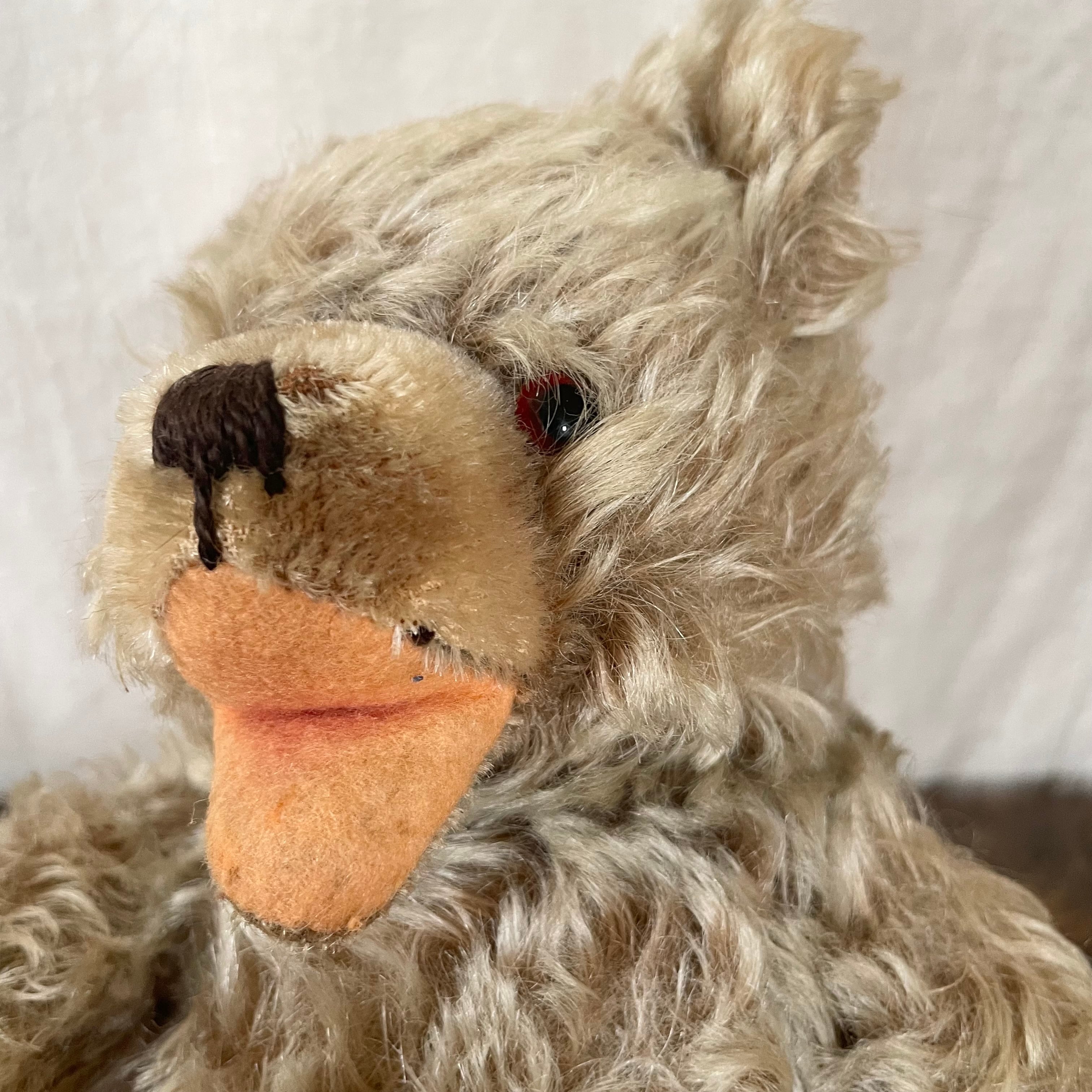 シュタイフのお腹が鳴るくま | tsuitachi craft&brocante