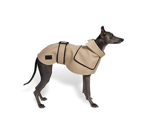 bondir トレンチコート　大型犬　L5 bondir トレンチコート大型犬L5