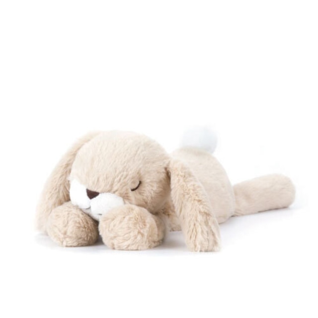 Lazy Bunny_MC300023