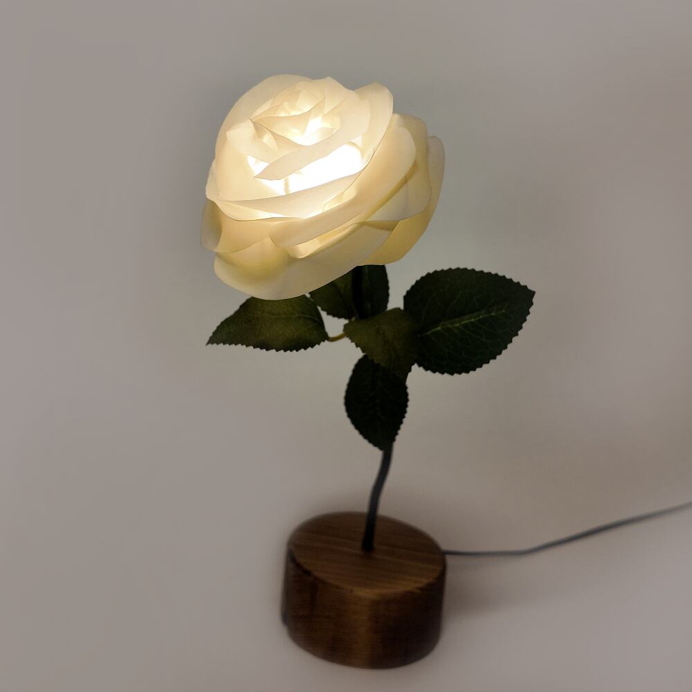Natural style - Brown Base White | HANA-LUX ハナルクス