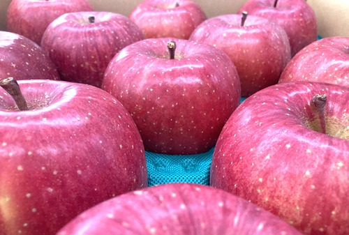 りんご（サンふじ）大箱(26玉～36玉)