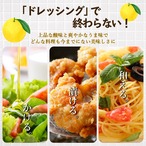 ★【P205】プチギフト　ドレッシング295mlサイズ　3本セット①