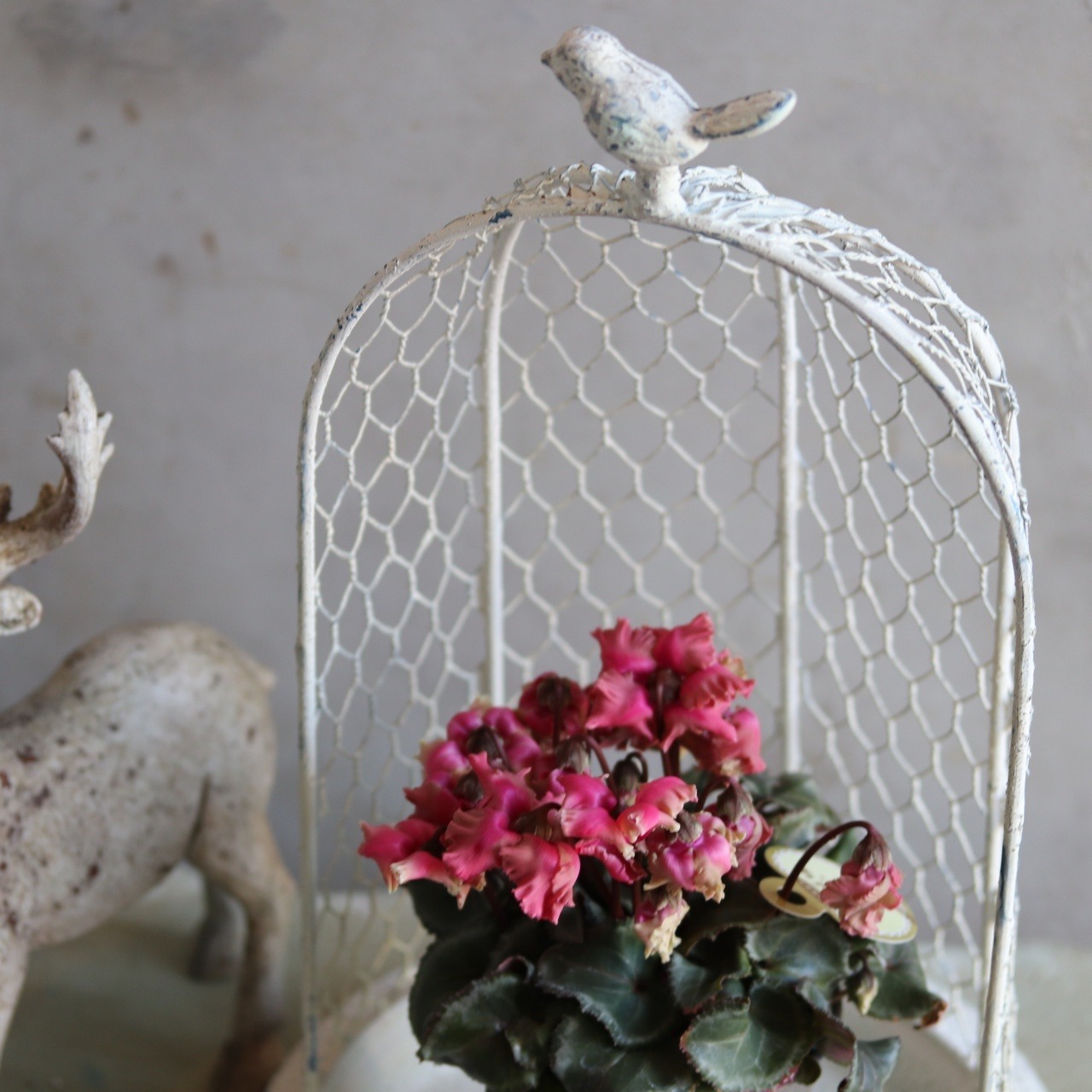 モアティエカージュW　ワイヤートレイ　シャビーシック　M922