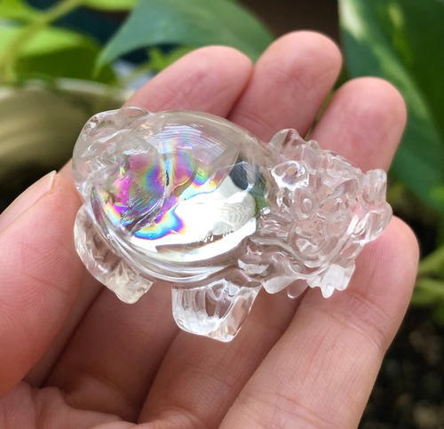 豊かさの味わい力